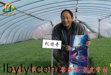 大慶-肇(zhao)源縣(xian)-用戶迴訪視頻