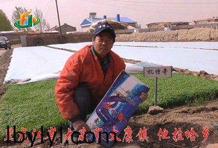 大慶-太康(kang)鎮-用戶迴訪視頻