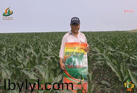 大慶泰(tai)康腰(yao)新