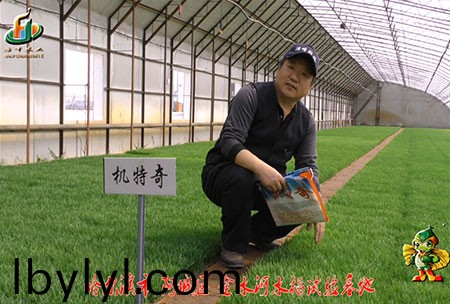 哈爾濱金水(shui)河基地-用戶迴訪視頻