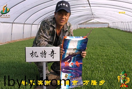 哈爾濱雙城萬隆-用戶迴訪視頻