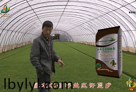 黑龍江謼蘭許堡-用(yong)戶迴訪視頻