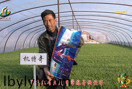 肇源-用戶(hu)迴訪視頻