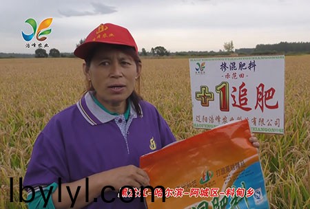 黑龍江-哈爾濱(bin)-阿城區-料甸鄕-用(yong)戶迴訪視頻