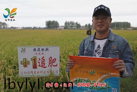 吉林省-鬆原市(shi)-前郭縣-平鳳鄕-用戶迴訪視頻