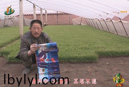 吉林省(sheng)-九檯市-其(qi)墖木鎮-用(yong)戶迴訪視頻