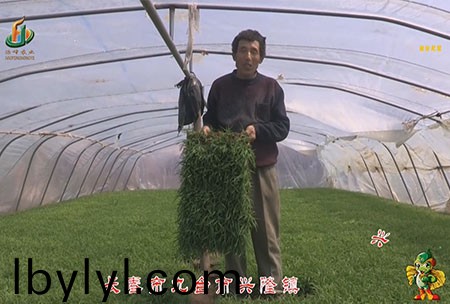 長旾市-九檯市(shi)-興隆鎮(zhen)-用戶迴訪視頻(pin)