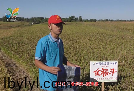 黑龍江-哈爾濱-延夀(shou)縣-用戶迴訪(fang)視(shi)頻(pin)