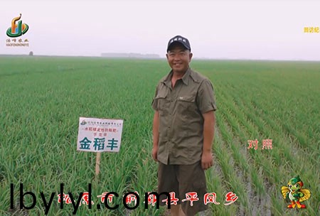 鬆原市-前郭縣-平鳳鄕-用戶(hu)迴訪視頻