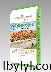 鹽堿二號（水稻(dao)）