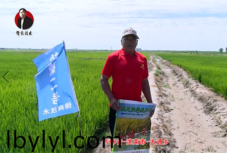 吉林省-洮南市-大通鄕