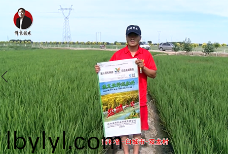 吉林省-白城市-雙龍邨