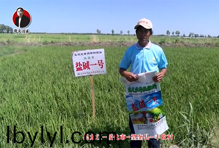 綏化市-朢奎縣-豐收邨