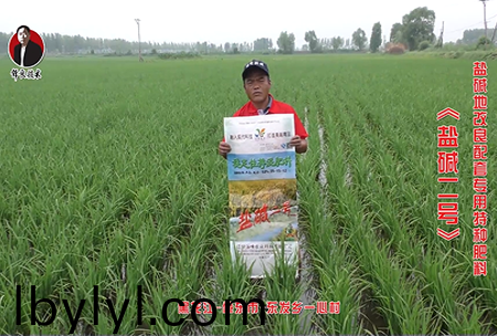 肇東市-東髮鄕(xiang)一心邨