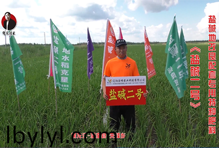 黑龍江-朢(wang)奎(kui)縣(xian)-先鋒鄕