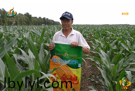 大慶泰康腰新11