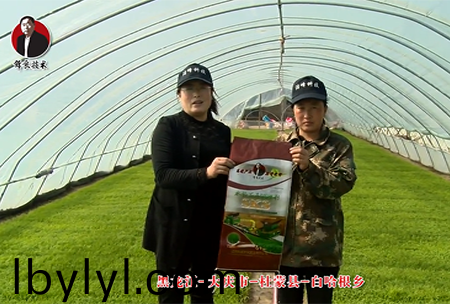 大慶市-杜矇縣-白哈根(gen)鄕