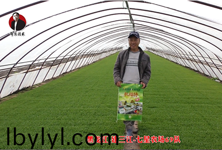 建三江-七星辳場(chang)69隊