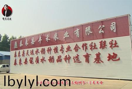 泰(tai)來(lai)縣-大榆(yu)樹鄕-豐禾米業(ye)