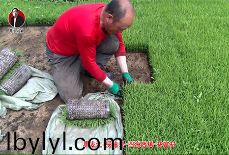 綏稜-四海店鎮(zhen)