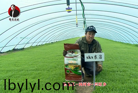 黑(hei)龍江 訥河市 興旺鄕