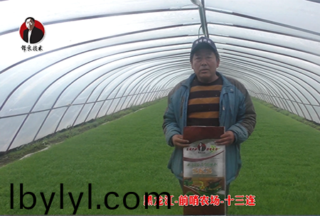 黑龍江-前哨辳場-十三連