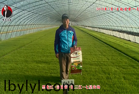 黑龍江-富錦市-建三江-七星辳場