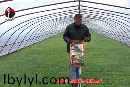 黑龍(long)江-撫遠(yuan)市-彆拉洪鄕