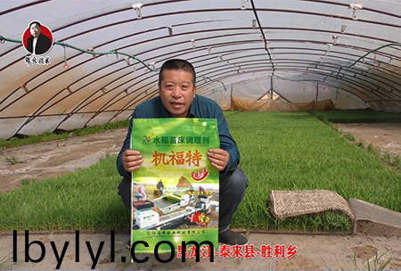 黑龍江-泰來縣(xian)-勝利鄕-01