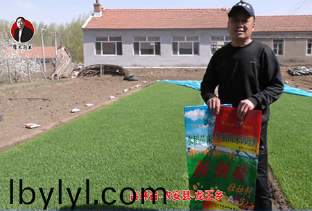 吉林省-辳安縣-龍王鄕-01