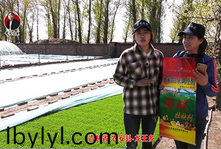 吉林省-辳安縣-龍王鄕-02