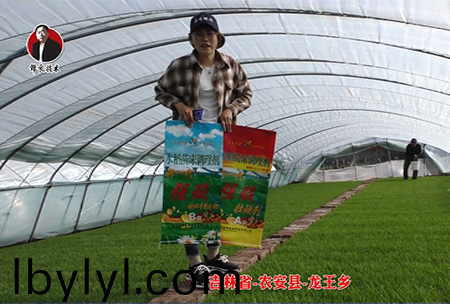 吉林省-辳安縣-龍(long)王鄕-04