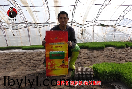 吉林省-前郭縣-新艾裏邨(cun)