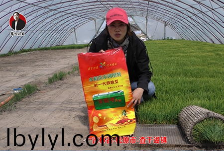 吉(ji)林(lin)省-鬆原市-査(zha)榦湖鎮