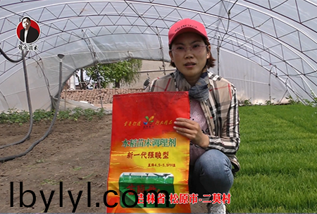 鬆原市-二莫(mo)邨