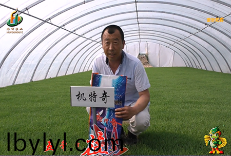 五常市 蓓廕河1