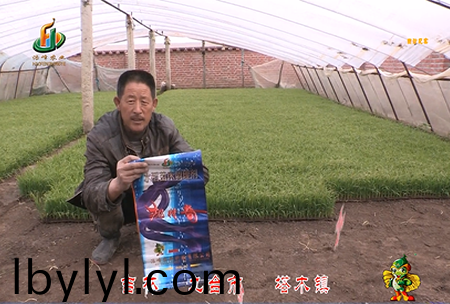 吉林其墖(ta)木鎮1