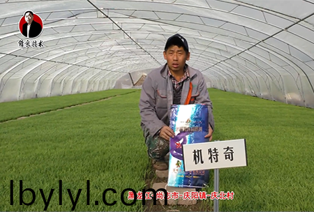 尚誌市-慶陽鎮-慶北邨