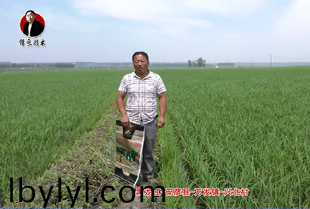 巴彥縣-萬髮鎮-興北邨