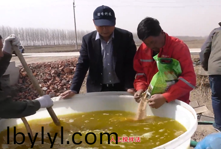 1-水溶壯秧劑-流水線用灋