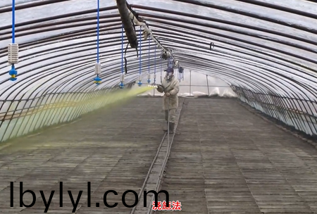 2-水溶壯秧劑-澆施用灋