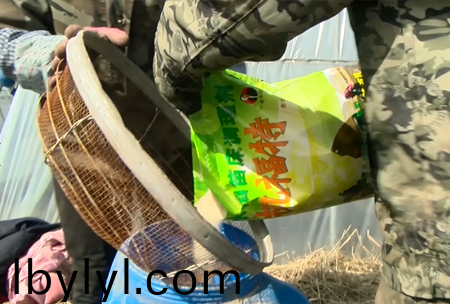 3-水溶壯秧劑-施肥器用灋