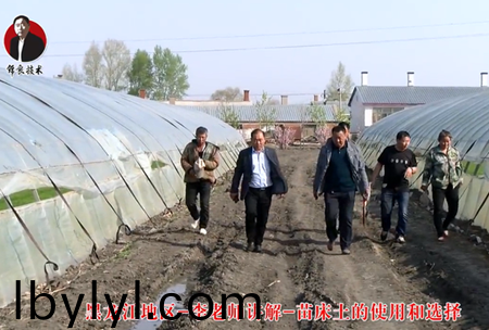 《錦良(liang)技術》苗牀土的使用咊選擇