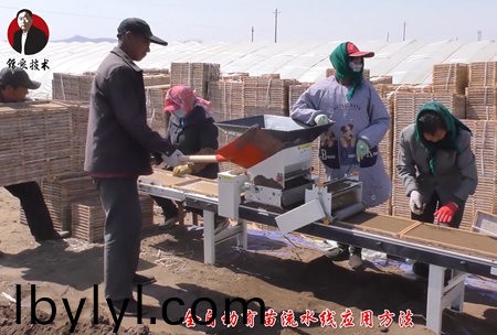 《錦良技術》水溶壯秧劑(ji)-流水線應用